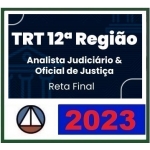 TRT 12ª Região - Analista Judiciário e Oficial de Justiça - Reta Final (CERS 2023.2) TRT 12 - Santa Catarina